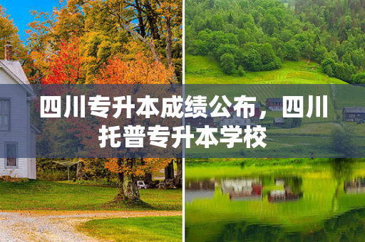 四川专升本成绩公布，四川托普专升本学校