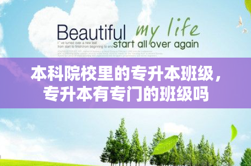 本科院校里的专升本班级，专升本有专门的班级吗