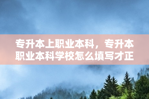 专升本上职业本科，专升本职业本科学校怎么填写才正确