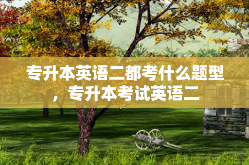 专升本英语二都考什么题型，专升本考试英语二