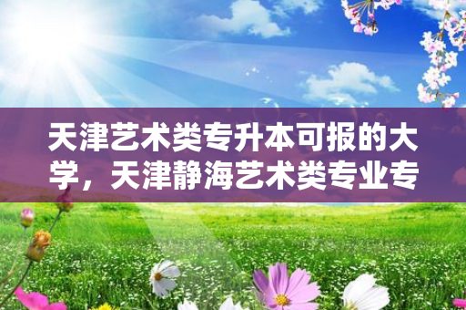 天津艺术类专升本可报的大学，天津静海艺术类专业专升本考试地点