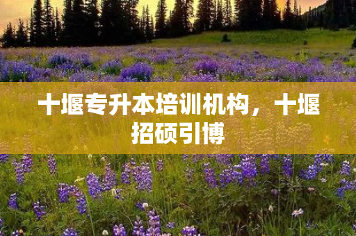 十堰专升本培训机构，十堰招硕引博