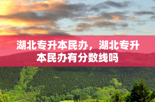 湖北专升本民办，湖北专升本民办有分数线吗