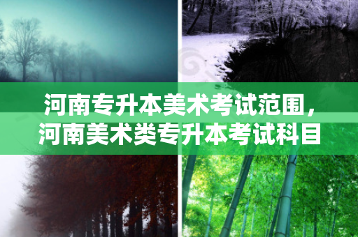 河南专升本美术考试范围，河南美术类专升本考试科目有哪些