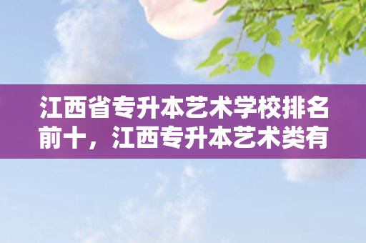 江西省专升本艺术学校排名前十，江西专升本艺术类有哪些学校