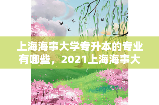 上海海事大学专升本的专业有哪些，2021上海海事大学专升本