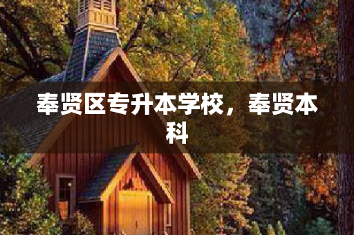 奉贤区专升本学校，奉贤本科