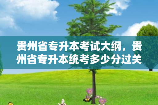 贵州省专升本考试大纲，贵州省专升本统考多少分过关