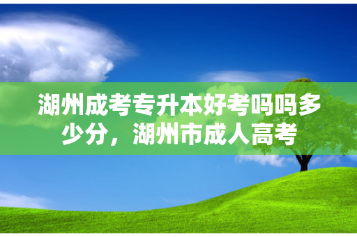 湖州成考专升本好考吗吗多少分，湖州市成人高考