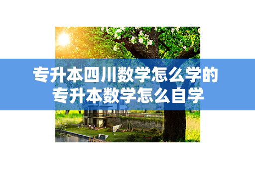 专升本四川数学怎么学的 专升本数学怎么自学