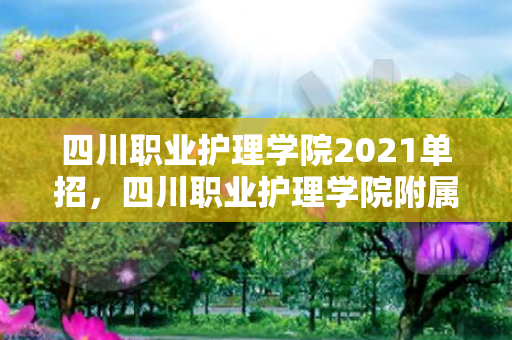 四川职业护理学院2021单招，四川职业护理学院附属医院