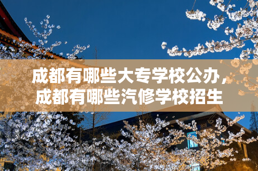 成都有哪些大专学校公办，成都有哪些汽修学校招生