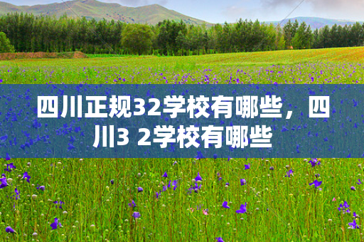 四川正规32学校有哪些，四川3 2学校有哪些