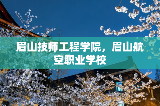 眉山技师工程学院，眉山航空职业学校