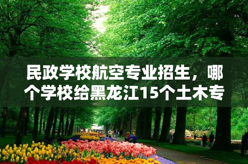 民政学校航空专业招生，哪个学校给黑龙江15个土木专业招生