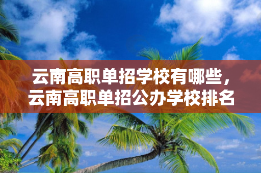 云南高职单招学校有哪些，云南高职单招公办学校排名