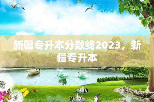 新疆专升本分数线2023，新疆专升本