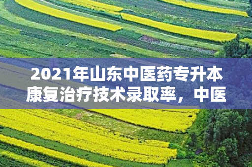 2021年山东中医药专升本康复治疗技术录取率，中医康复专升本山东院校分数线