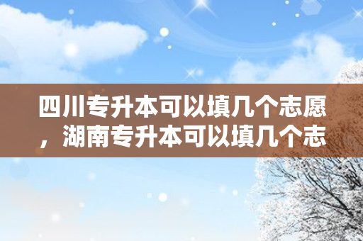 四川专升本可以填几个志愿，湖南专升本可以填几个志愿