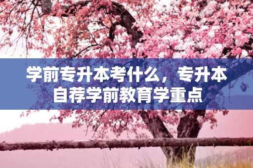 学前专升本考什么，专升本自荐学前教育学重点