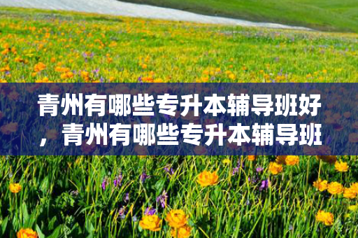 青州有哪些专升本辅导班好，青州有哪些专升本辅导班机构
