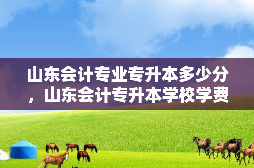 山东会计专业专升本多少分，山东会计专升本学校学费