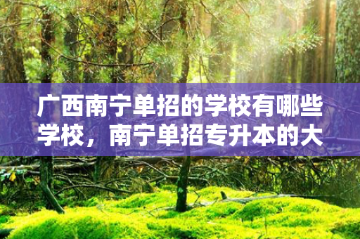 广西南宁单招的学校有哪些学校，南宁单招专升本的大学有哪几所