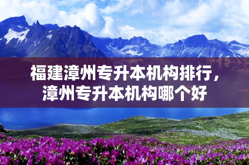 福建漳州专升本机构排行，漳州专升本机构哪个好