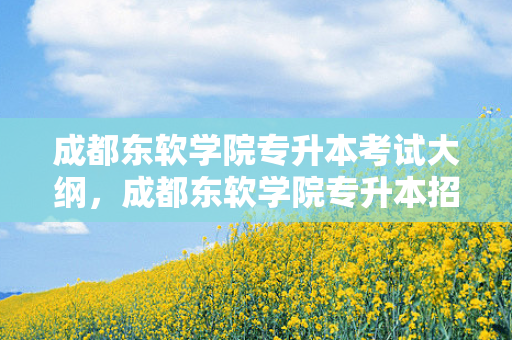 成都东软学院专升本考试大纲，成都东软学院专升本招生简章