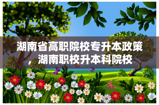 湖南省高职院校专升本政策，湖南职校升本科院校