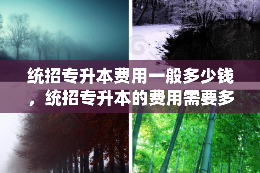 统招专升本费用一般多少钱，统招专升本的费用需要多少