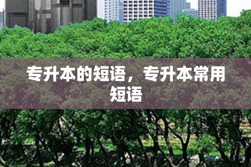 专升本的短语，专升本常用短语