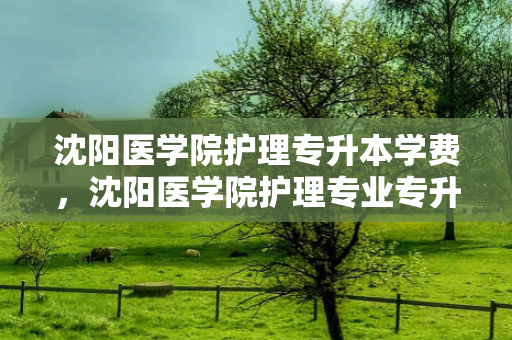 沈阳医学院护理专升本学费，沈阳医学院护理专业专升本分数线