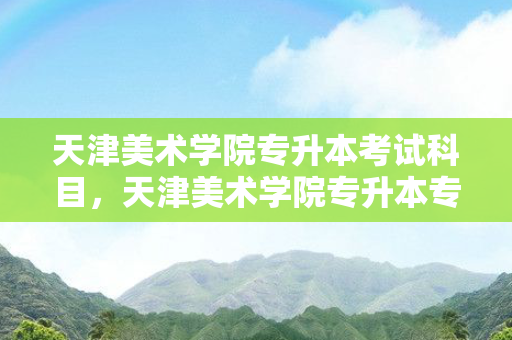 天津美术学院专升本考试科目，天津美术学院专升本专业课考什么