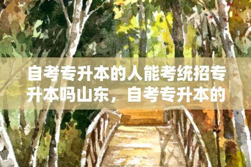 自考专升本的人能考统招专升本吗山东，自考专升本的条件与要求