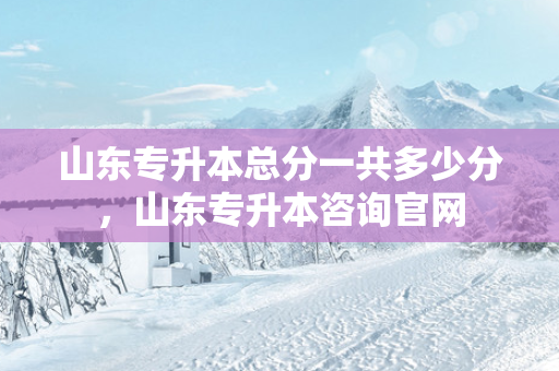 山东专升本总分一共多少分，山东专升本咨询官网
