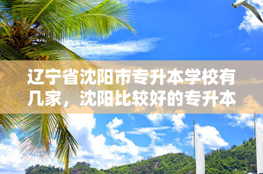 辽宁省沈阳市专升本学校有几家，沈阳比较好的专升本机构