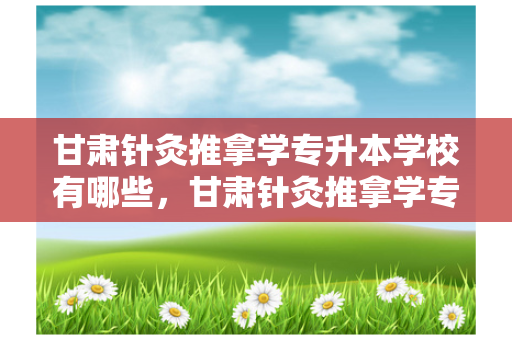 甘肃针灸推拿学专升本学校有哪些，甘肃针灸推拿学专升本学校